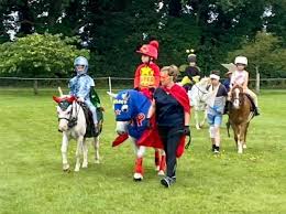Image result for Chiddingfold Branch Of The Pony Club