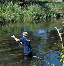 Image result for Vauxhall Angling Club