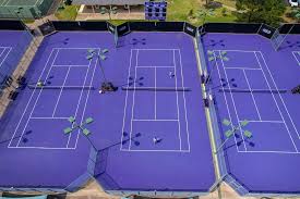 Image result for Shepley Tennis Club