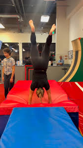 Image result for flip and twist