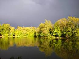 Image result for Bathampton Angling Association