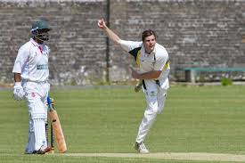 Image result for Bere Regis Cricket Club