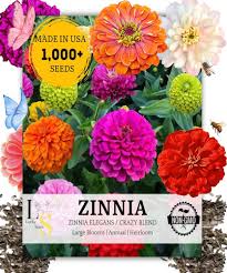 Image result for Zinnia elegans