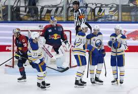 Image result for Ice Hockey International