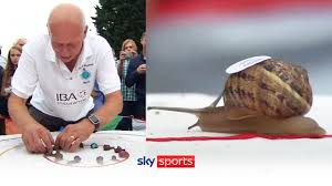 Image result for World Snail Racing Championships