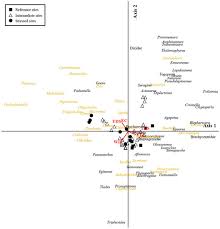 Attēlu rezultāti vaicājumam “Harmandia”