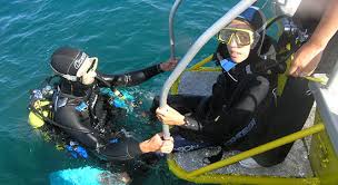 Image result for Abyss Dive Club