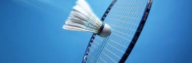 Image result for Exeter Badminton Club