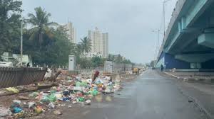 Image result for Bangalore Garbage