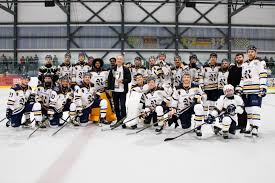 Image result for Romford Raiders
