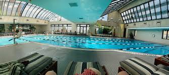 Image result for York University Pool Club