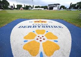 Image result for Derbyshire County Cricket Club