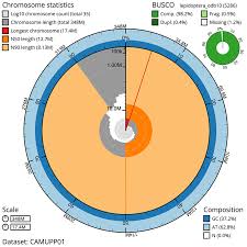 Attēlu rezultāti vaicājumam “Electrophaes corylata”