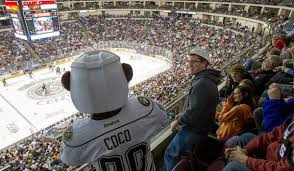 Image result for Hersham Hockey Club