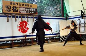 Image result for Hertfordshire Iga Ryu Ninjutsu