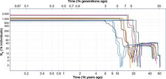 Image result for pfanzelt tehron