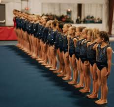 Image result for Epping Forest Elite Gymnastics Club