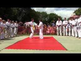 Image result for Ju Jitsu Tavistock
