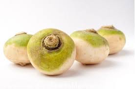 Attēlu rezultāti vaicājumam “Brassica napus fruit”