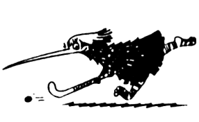 Image result for Christchurch Ladies Hockey Club