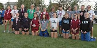 Image result for Exeter Harriers Limited