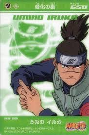 「うみのイルカ」の画像検索結果