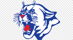 Image result for Craigavon Cougars