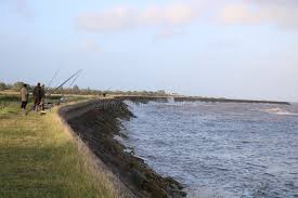 Image result for Bristol Channel Sea Fishing