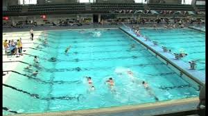 Image result for Stoke Willfield Octopush Club