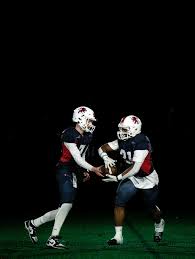 Image result for Birmingham University Lions