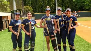 Image result for Dragons Softball Club