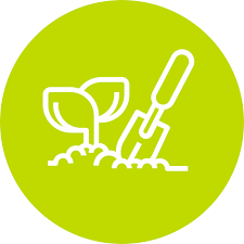 Image result for Dunblane Scrabble Club