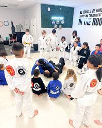 Image result for Derwent Jujitsu Academies