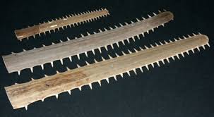 Image result for Pristis pectinata