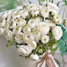 Attēlu rezultāti vaicājumam “Ranunculus mendax flower”