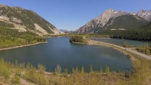 「ネスティ・バスク」の画像検索結果