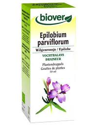 Attēlu rezultāti vaicājumam “Epilobium parviflorum”