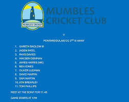 Image result for Pontarddulais Cricket Club