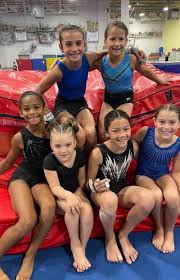 Image result for Redcar School Of Gymnastics