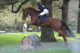 Image result for Oxford Riding Club