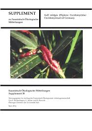 Attēlu rezultāti vaicājumam “Cystiphora sanguinea”