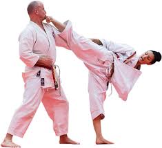 Image result for Bushin Kenpo Kai Schools