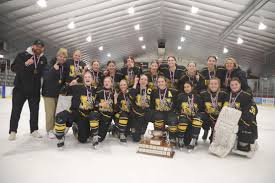 Image result for Frome Ladies Hockey Club