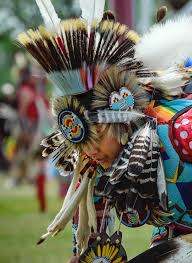 Image result for seotonie