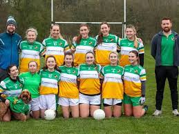 Image result for Wolfe Tones Gaelic Athletic Club