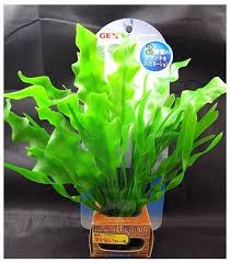 「扭蘭」的圖片搜尋結果