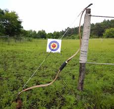 Image result for Taverham Archers