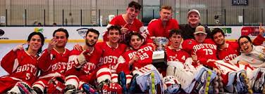 Image result for Team-Tigers Roller Hockey Club