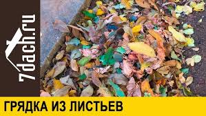 Image result for Мужская майка Сдохну на грядках