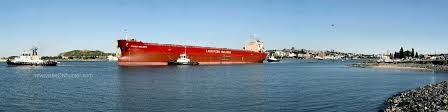 Image result for Pasha bulker